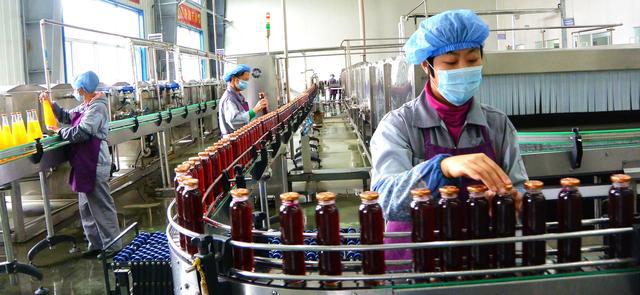 白山蓝莓 以酒技术开发引领乡村振兴的大产业